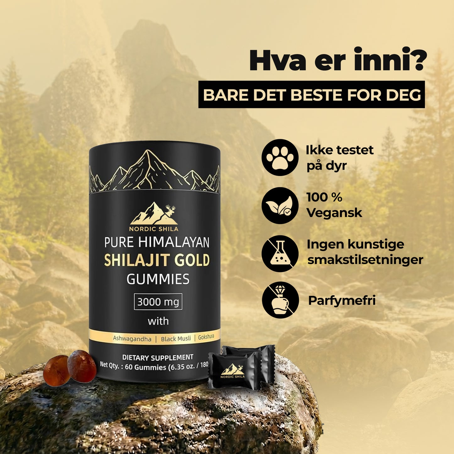 Shilajit Gummies: Ren Shilajit Himalaya