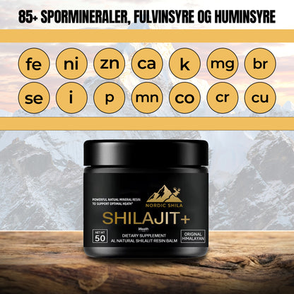 Pure Himalayan Shilajit Resin - 50G